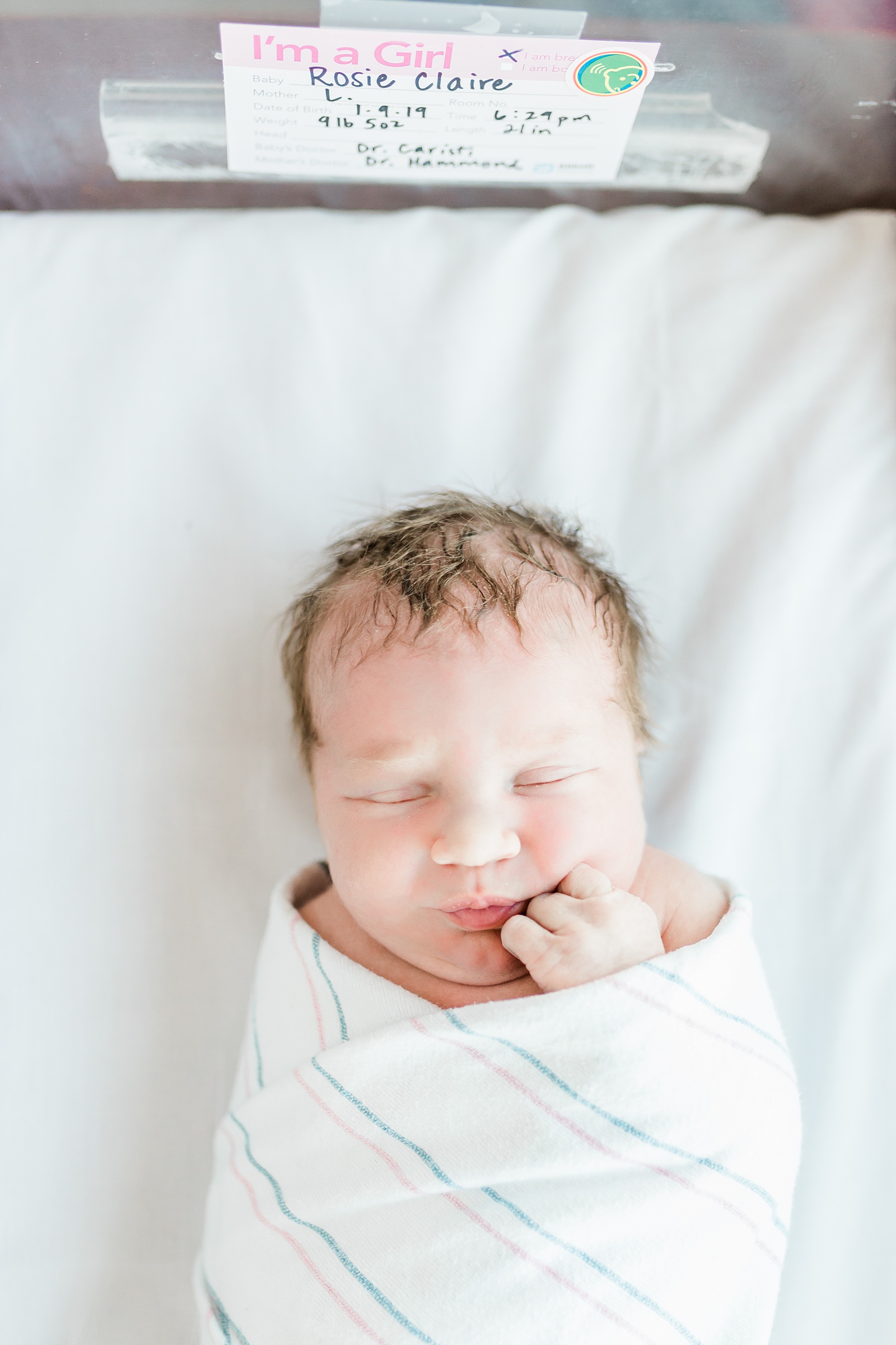 Newborn in bassinet during Charleston Fresh 48 session by Caitlyn Motycka Photography