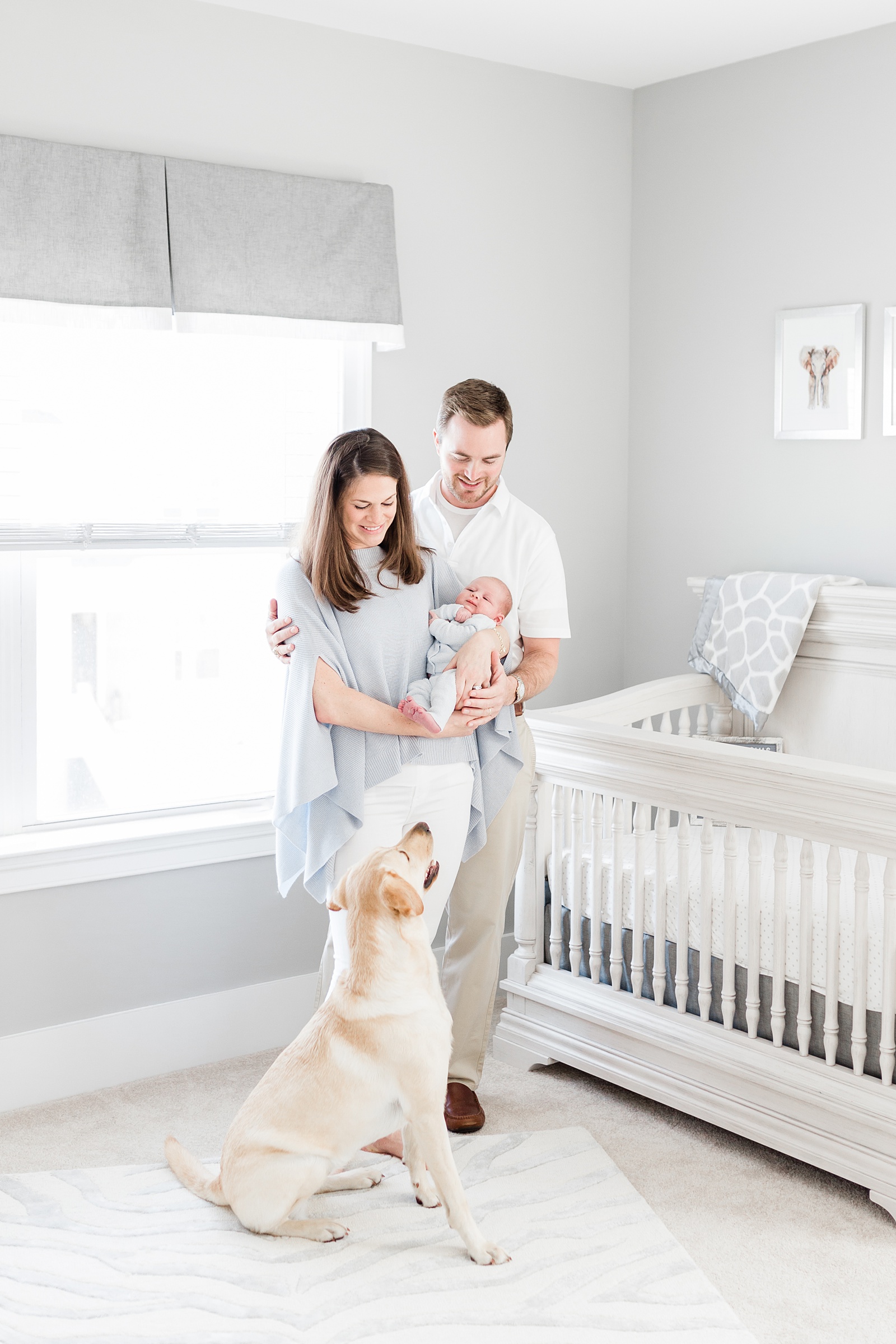 Lifestyle Newborn session with dog in grey gender neutral nursery | Caitlyn Motycka Photography