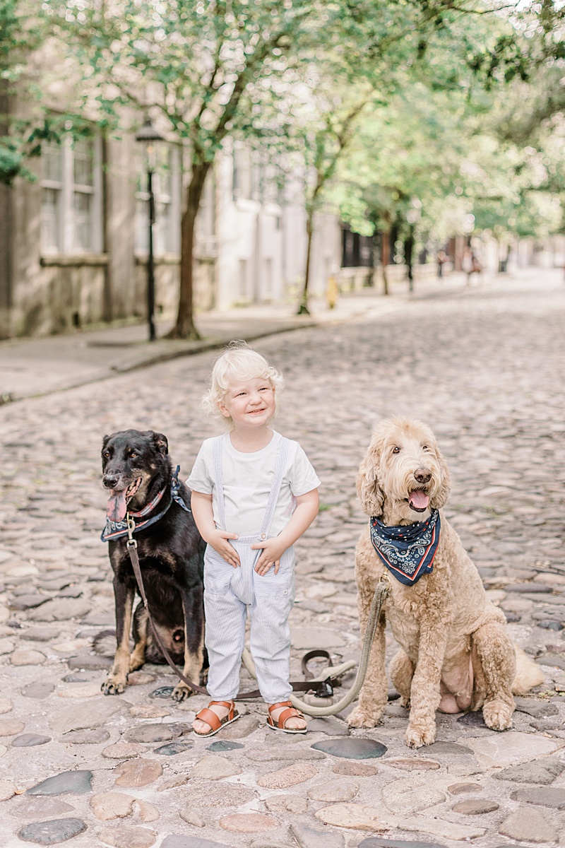 A boy and his dogs during family photoshoot in Downtown Charleston. Photos by Caitlyn Motycka Photography. 