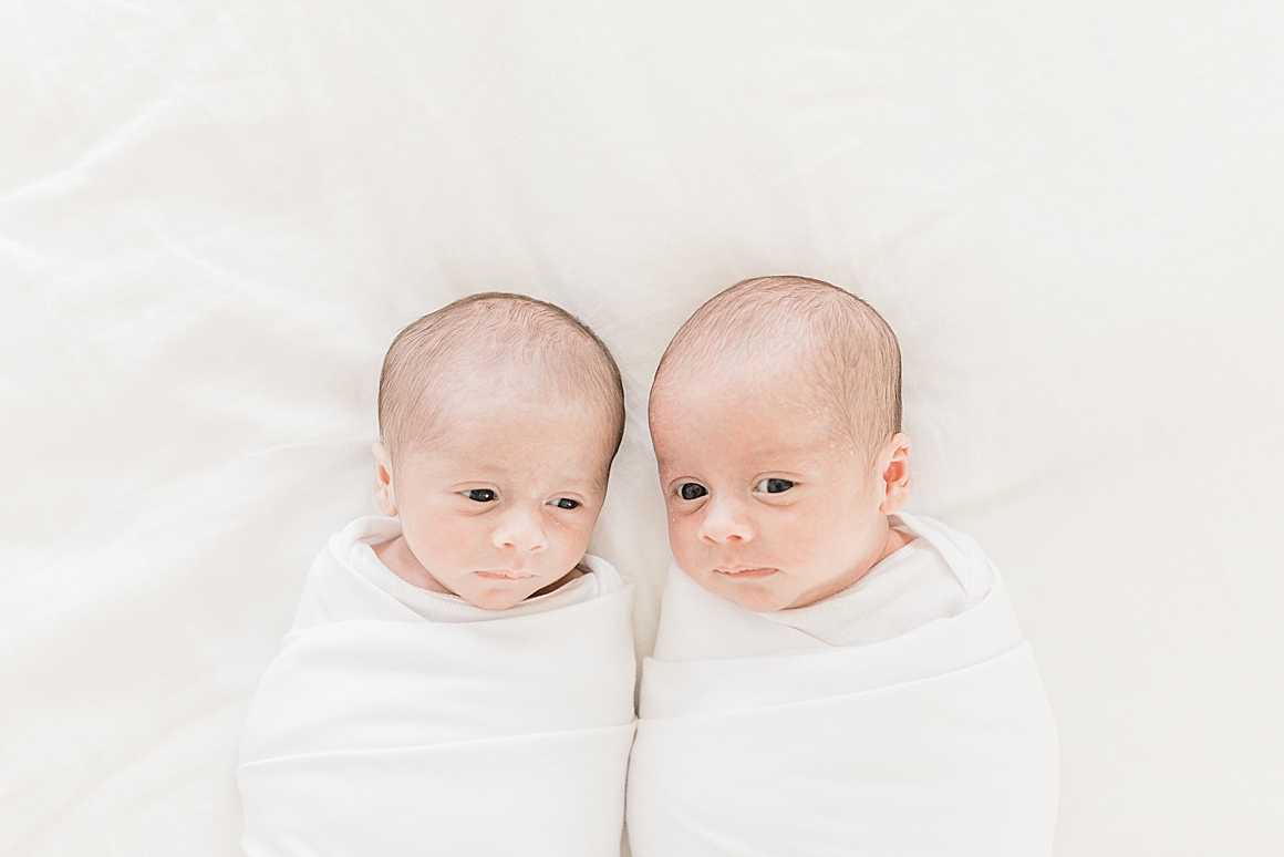 Baby boys swaddled together in a copper pearl swaddle for newborn photos. Photos by Caitlyn Motycka Photography.
