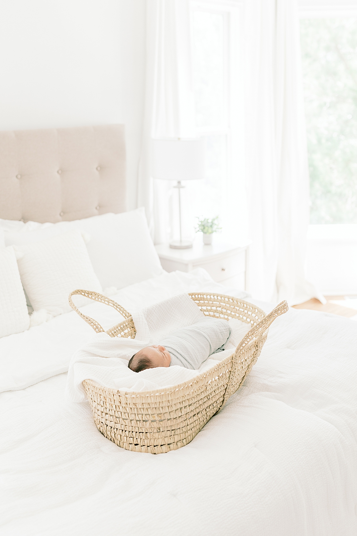 Baby boy in Moses basket during newborn session with Caitlyn Motycka Photography
