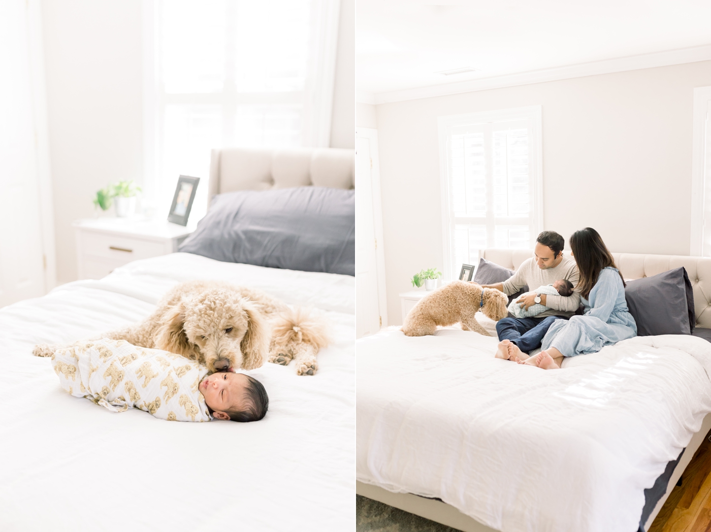 In-home newborn photoshoot with family dog and newborn son. Photos by Charleston Newborn Photographer, Caitlyn Motycka Photography. 