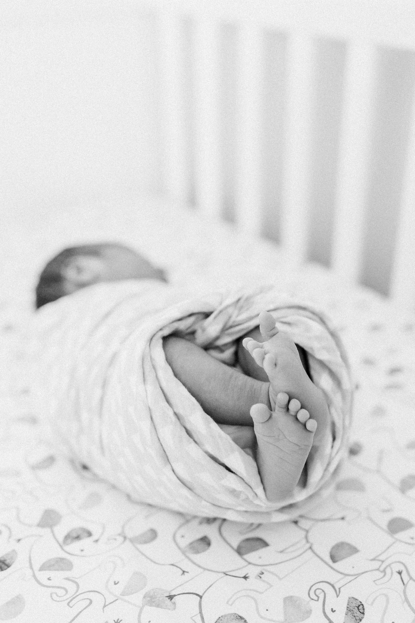 Black and white newborn detail photo of baby boy's feet. Photo by Caitlyn Motycka Photography.