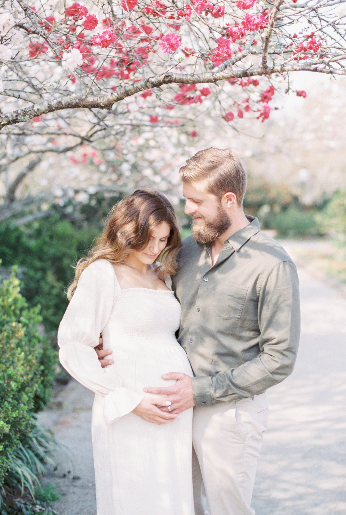 Expecting parents embracing under the pink flowering trees at Hampton Park. Photo by fine art film photographer, Caitlyn Motycka Photography.