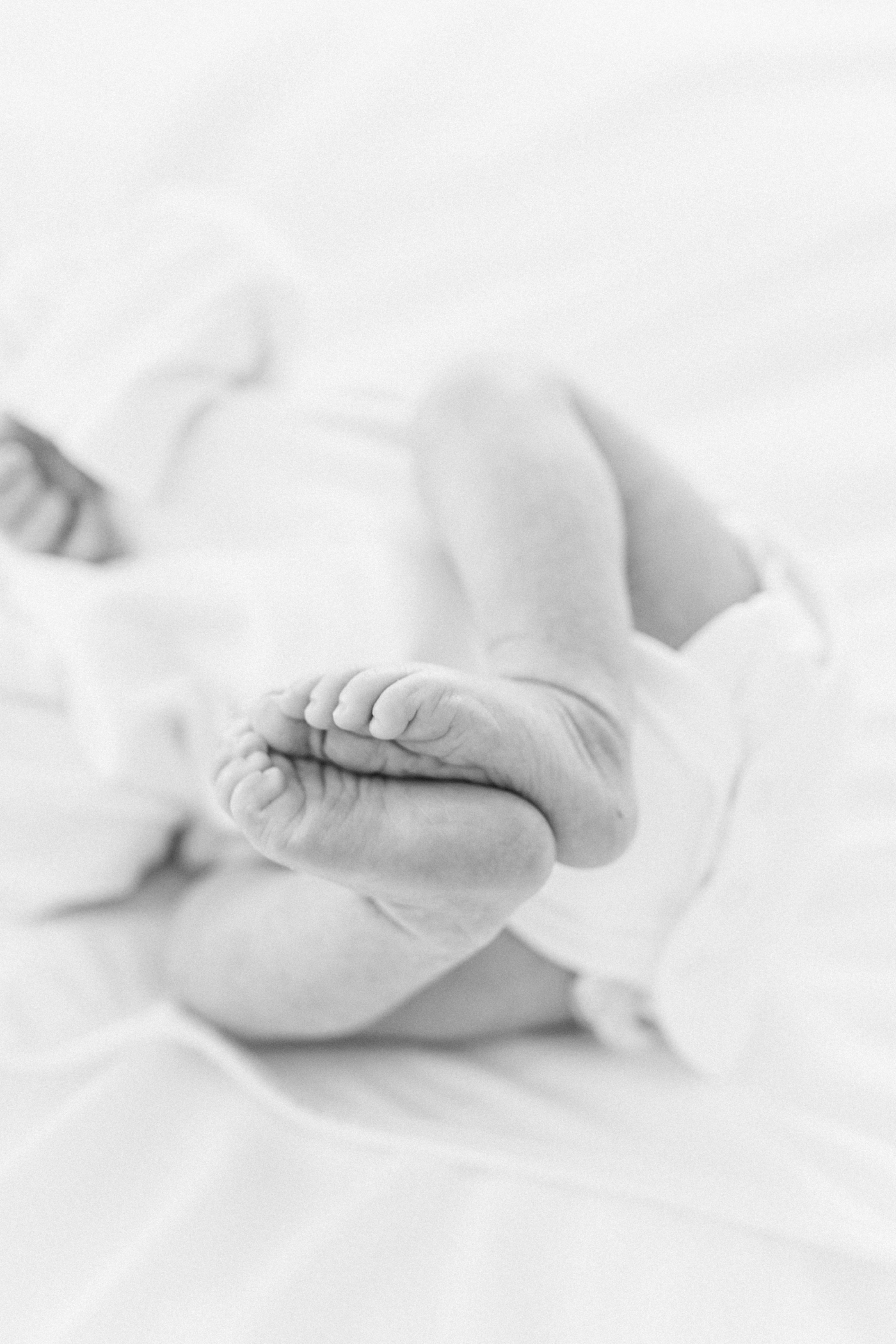 Black and white detail of newborn baby feet | Photo by Caitlyn Motycka Photography.