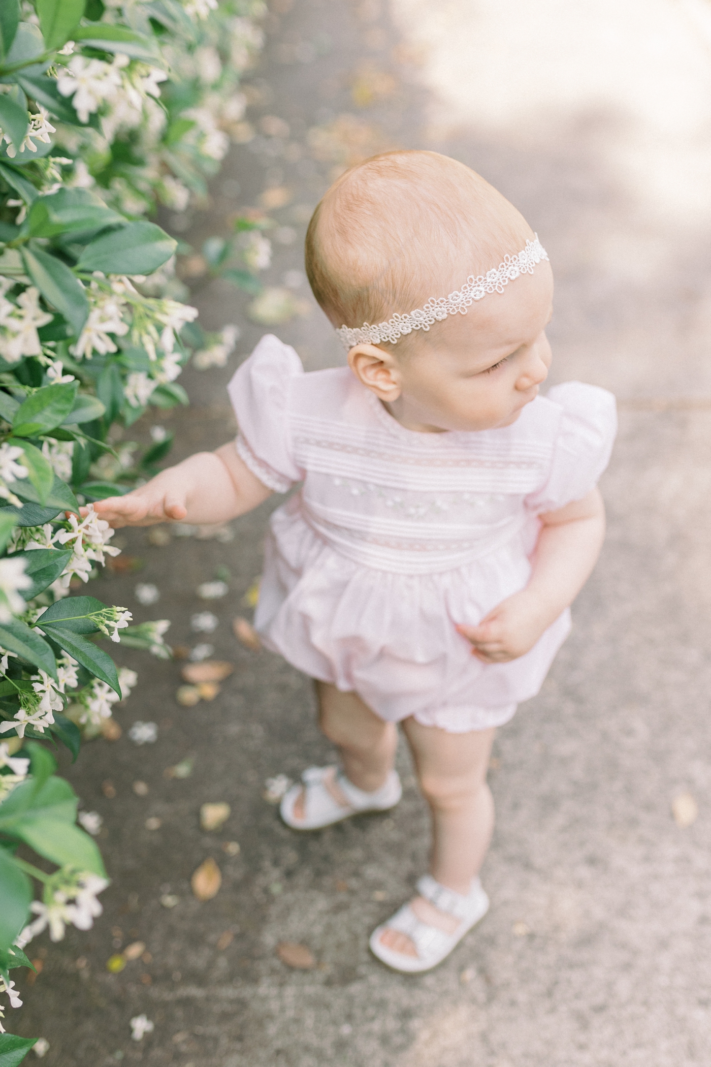 Baby girl in headband plays with blooming jasmine in downtown Charleston | Photo by Caitlyn Motycka Photography.