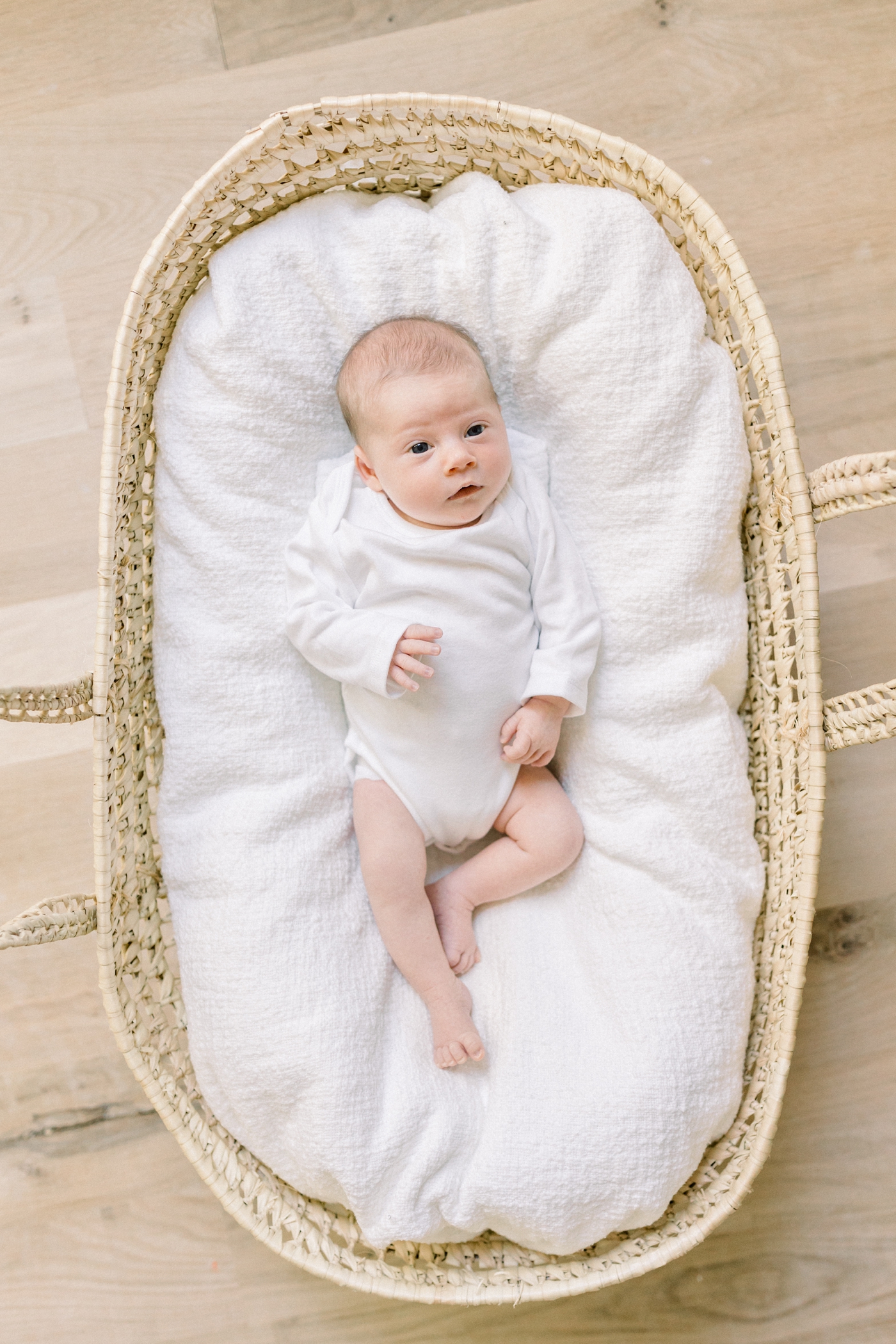 Baby in a Moses basket looking at the camera | Photo by Caitlyn Motycka Photography.