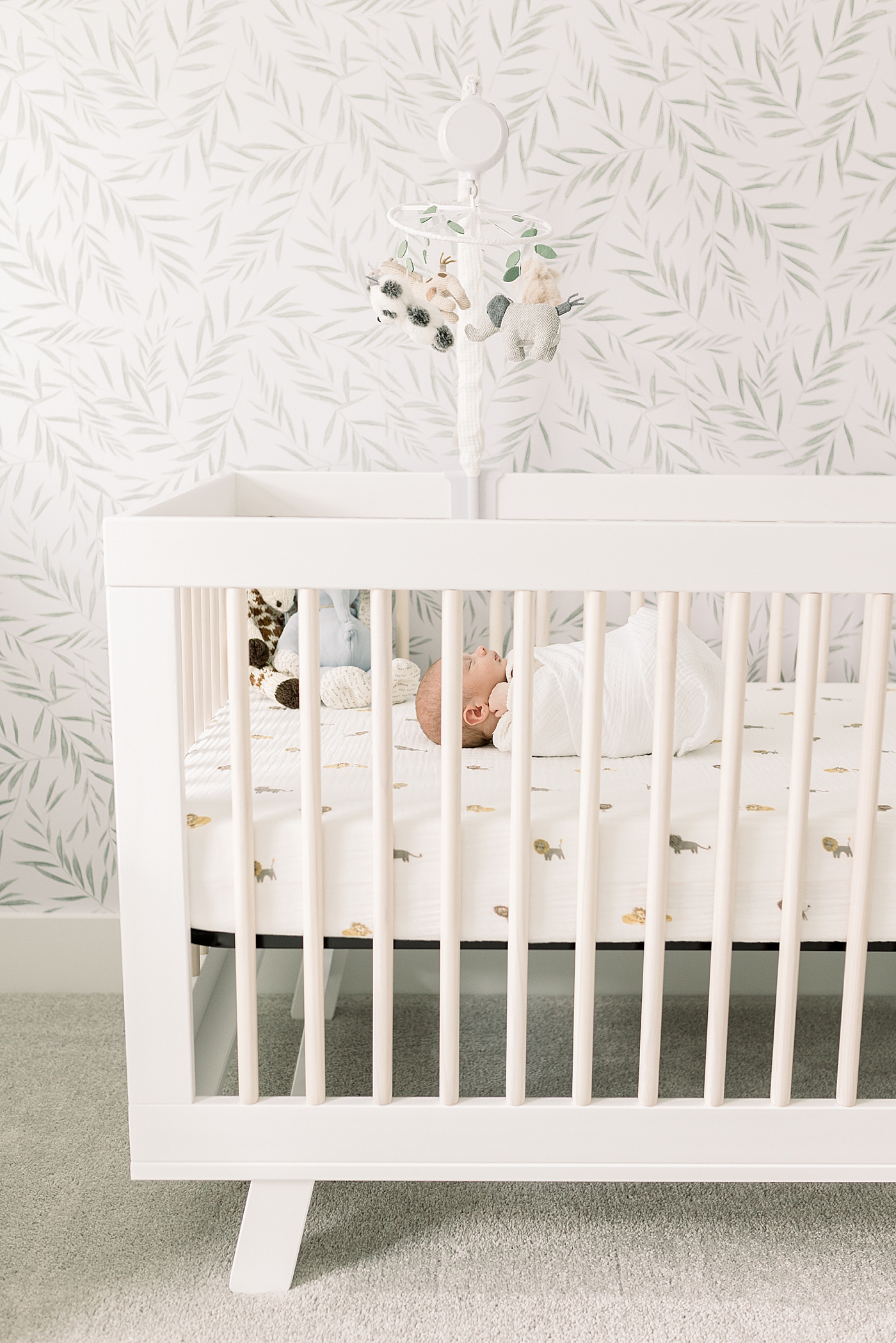 Baby boy sleeping in his white crib | Photo by Caitlyn Motycka Photography