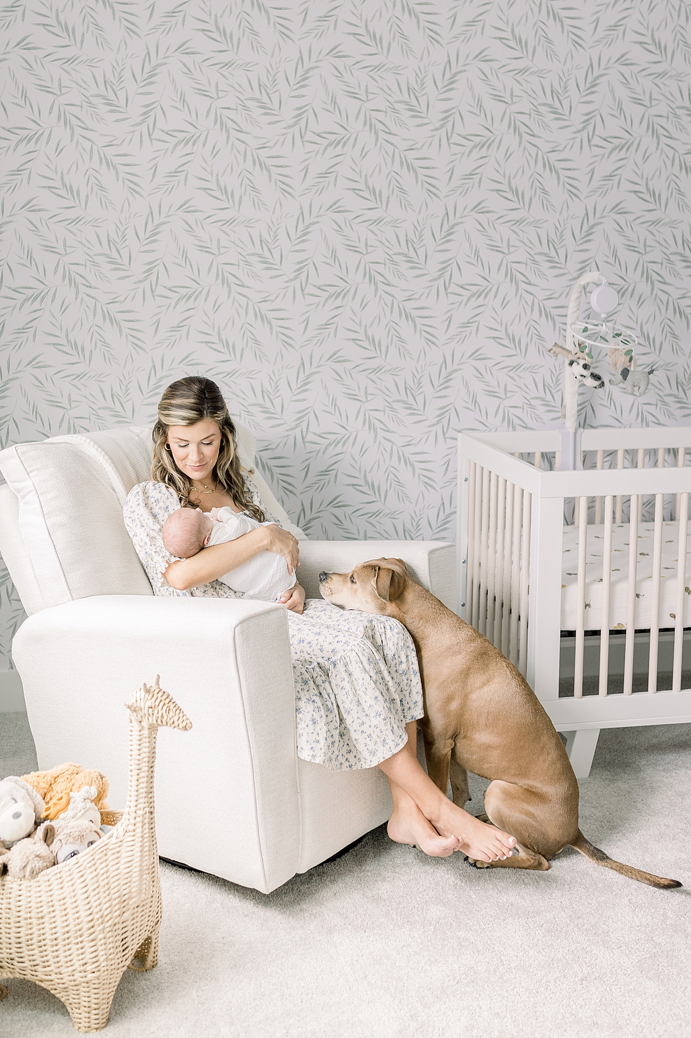 Mom holding baby sitting in glider while dog looks on | Baby Boy Newborn Photos CHS by Caitlyn Motycka Photography