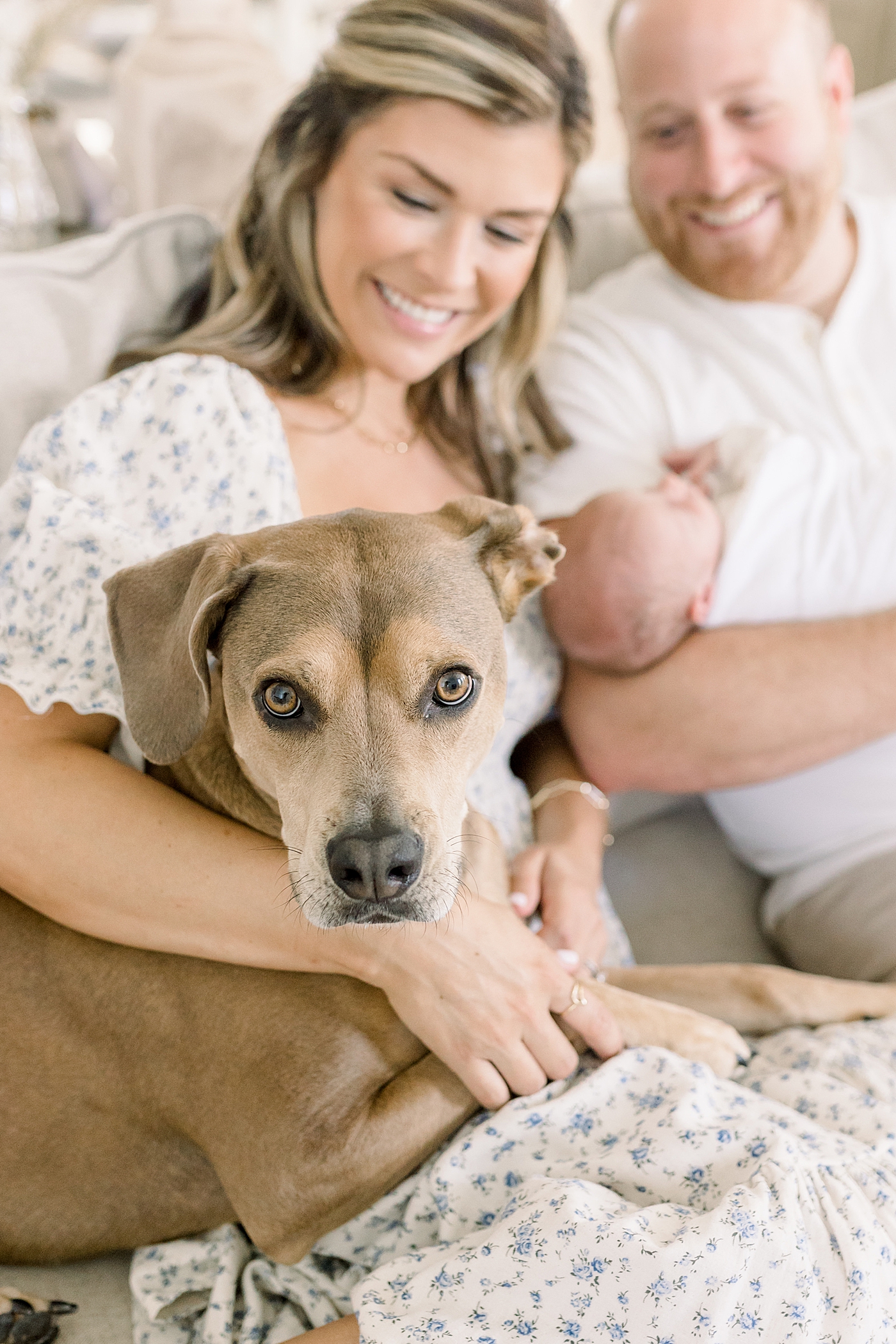 Detail of family dog during newborn photos | Baby Boy Newborn Photos CHS by Caitlyn Motycka Photography