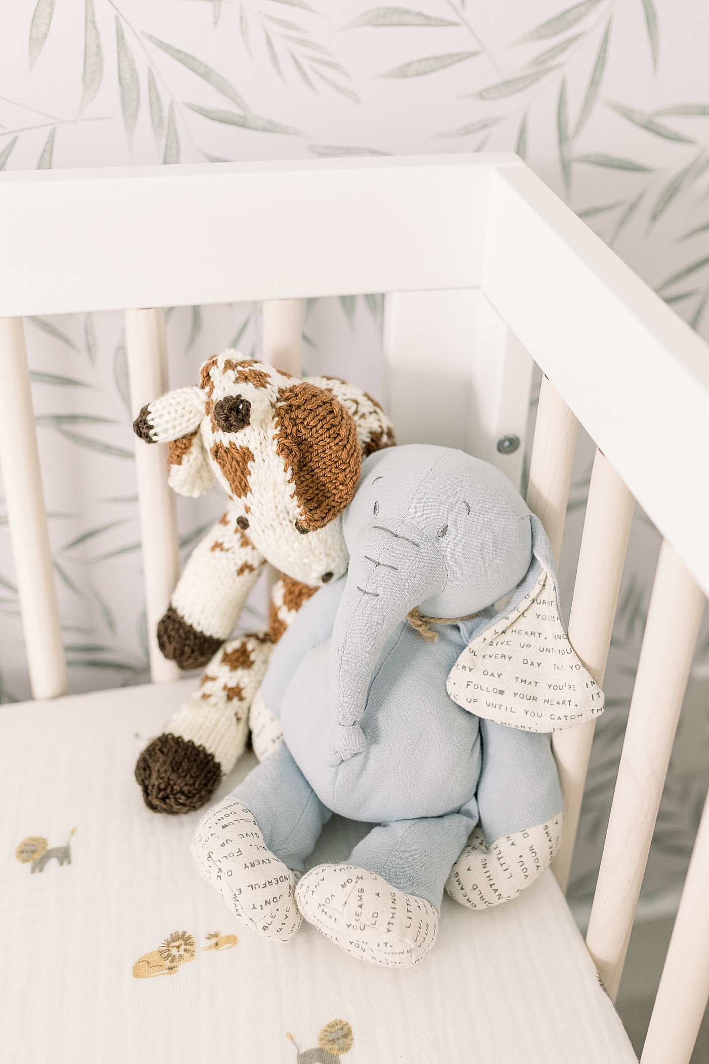Lovies in the corner of a baby's crib | Photo by Caitlyn Motycka Photography