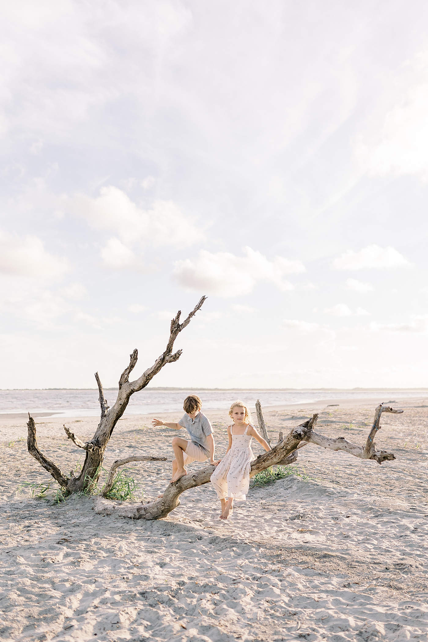 Little boy and girl sitting on a fallen tree during their Maternity Session at Folly Beach | Image by Caitlyn Motycka