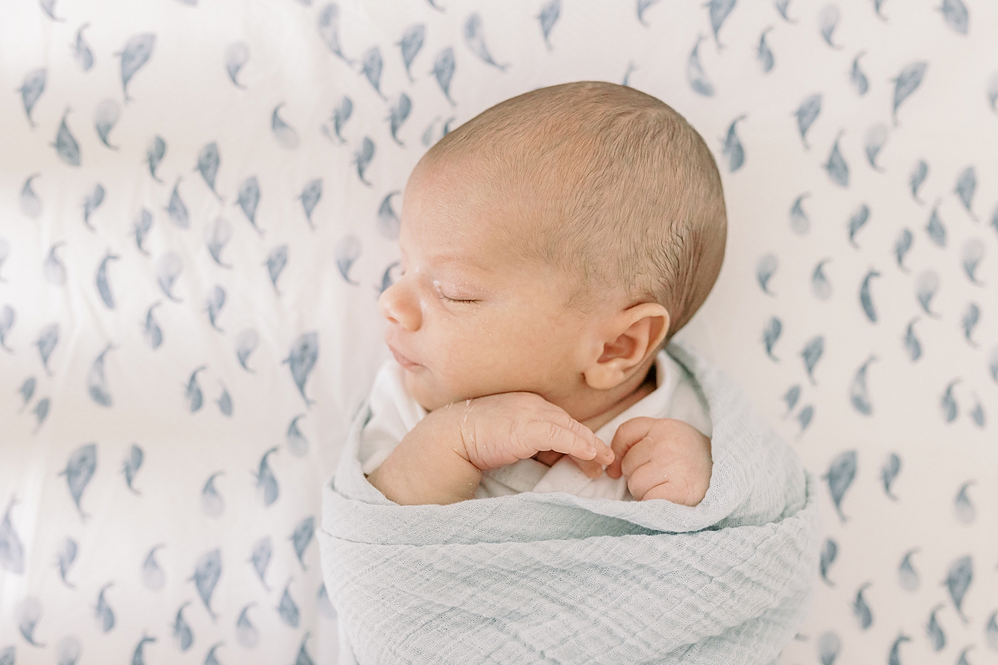 Newborn baby sleeping on whale sheets during lifestyle newborn photos | Image by Caitlyn Motycka