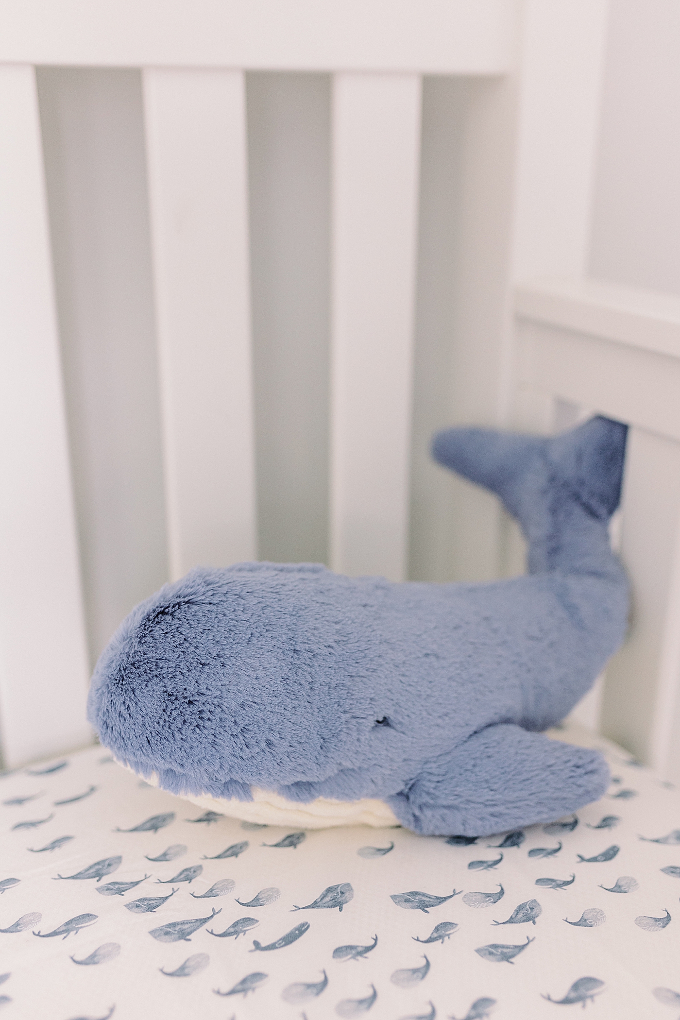 Detail of crib with whale sheets and stuffed whale lovey | Image by Caitlyn Motycka