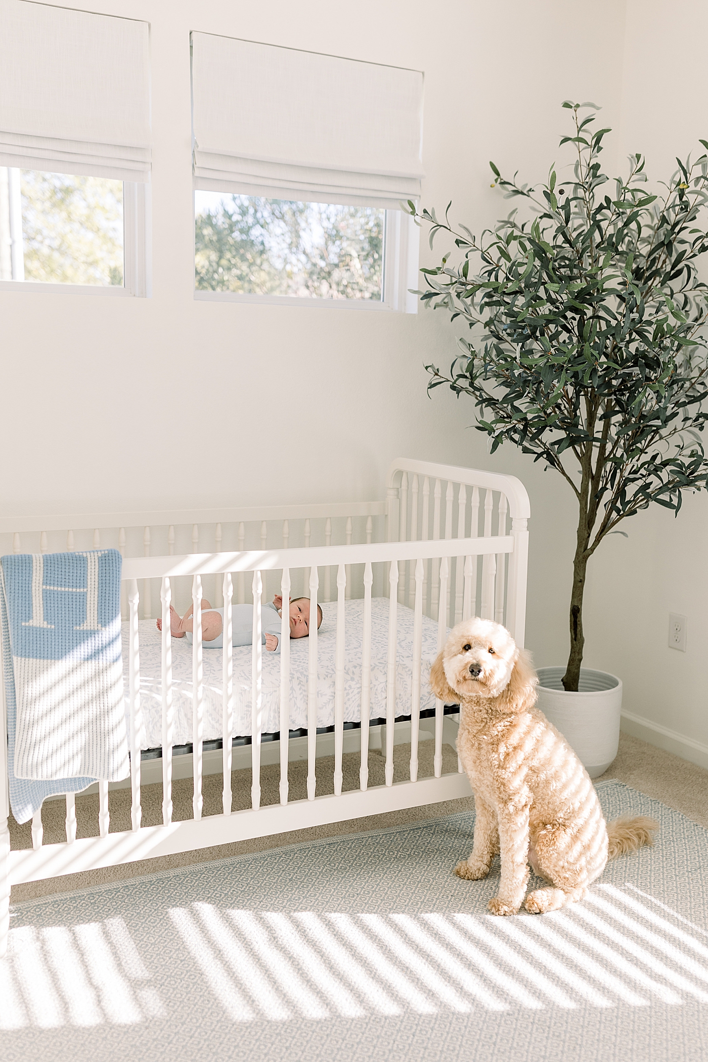 Baby in a white baby crib and dog beside the crib during baby boy newborn session | Image by Caitlyn Motycka Photography